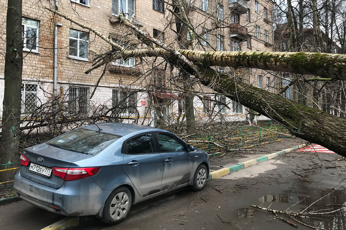 «ДТП с участием туалета»: каких бед натворил ураган в Москве и области - МК