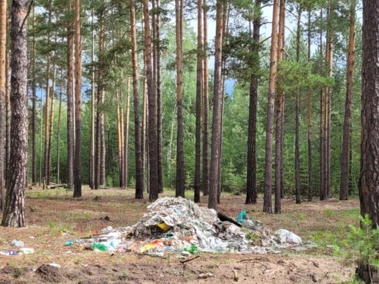 Тюменская межрайонная прокуратура обязала очистить от мусора лес