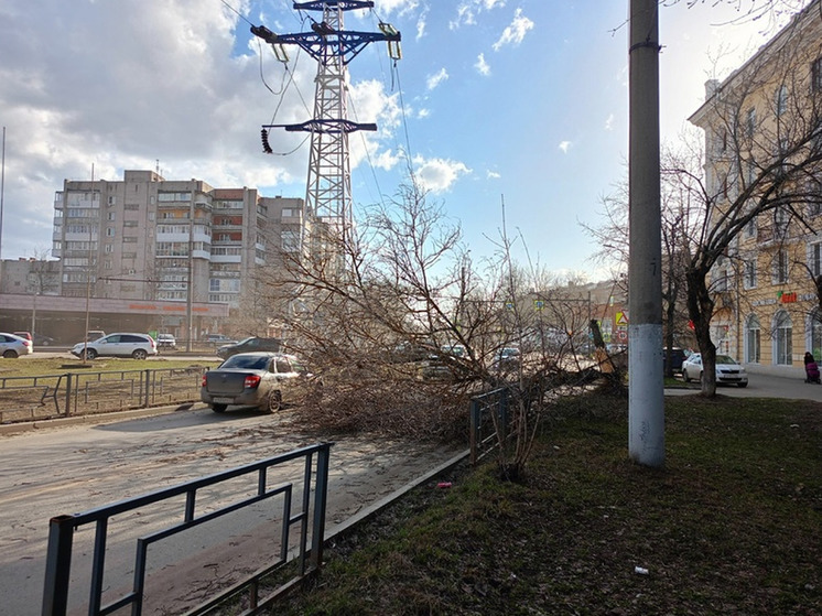 В Иванове на улице Мархлевского упавшее дерево перекрыло проезжую часть