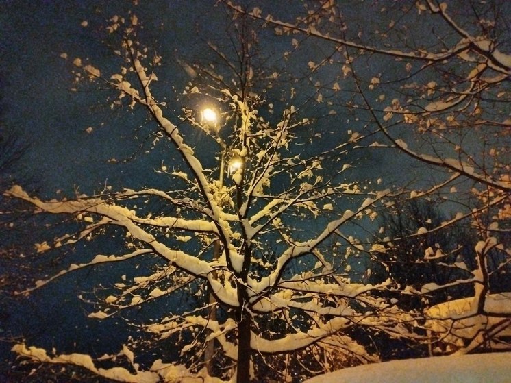 Метель и налипание мокрого снега: какие погодные перспективы светят жителям Ленобласти