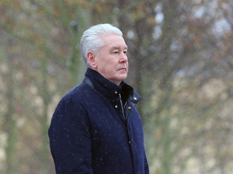 Собянин: два человека погибли в Москве из-за сильного ветра