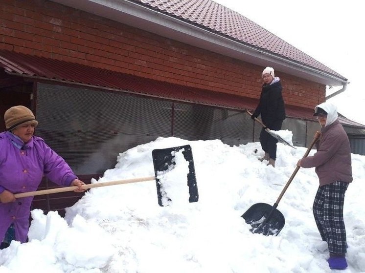 Ядринские тимуровцы помогли родителям участника СВО справиться со снегом