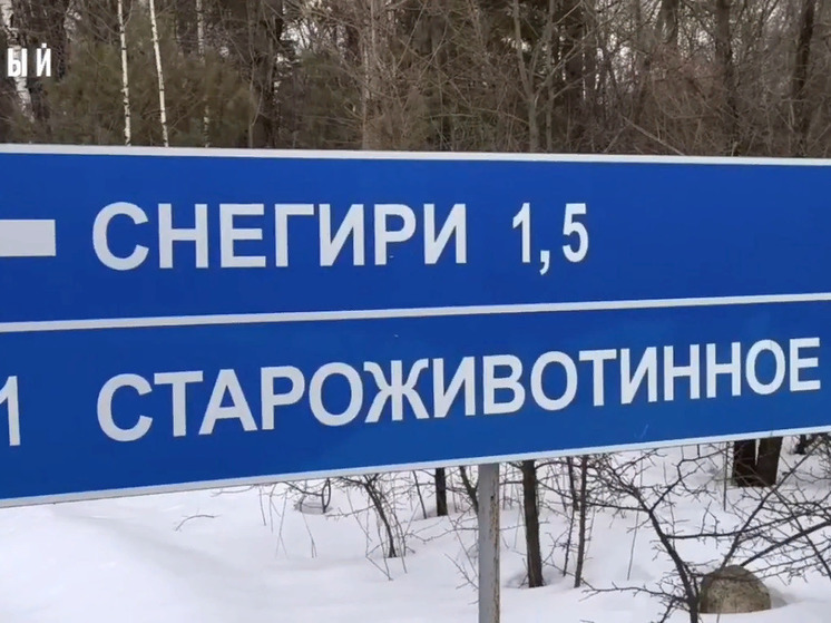 Жители поселка Снегири под Воронежем 13 лет ждут автобуса