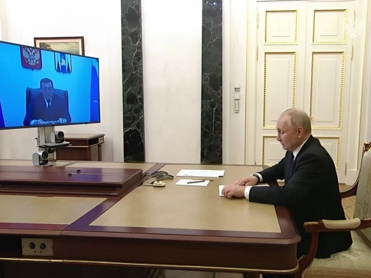 Сахалинские политологи прокомментировали встречу Лимаренко и Путина