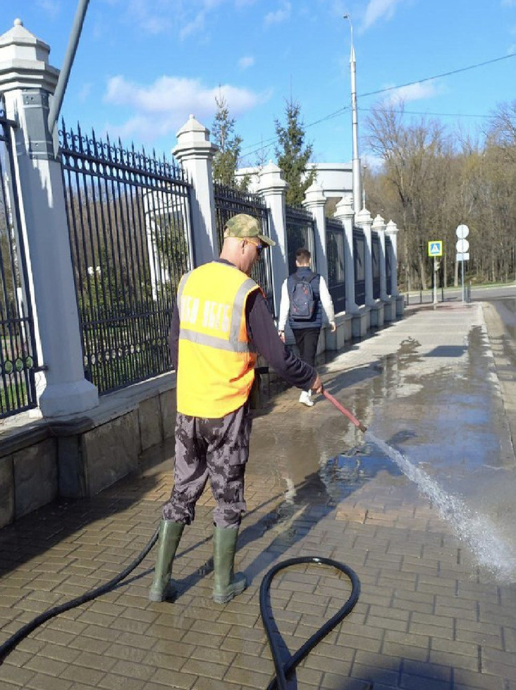 Белгородцам ответили, безопасны ли для растений средства для мытья тротуаров