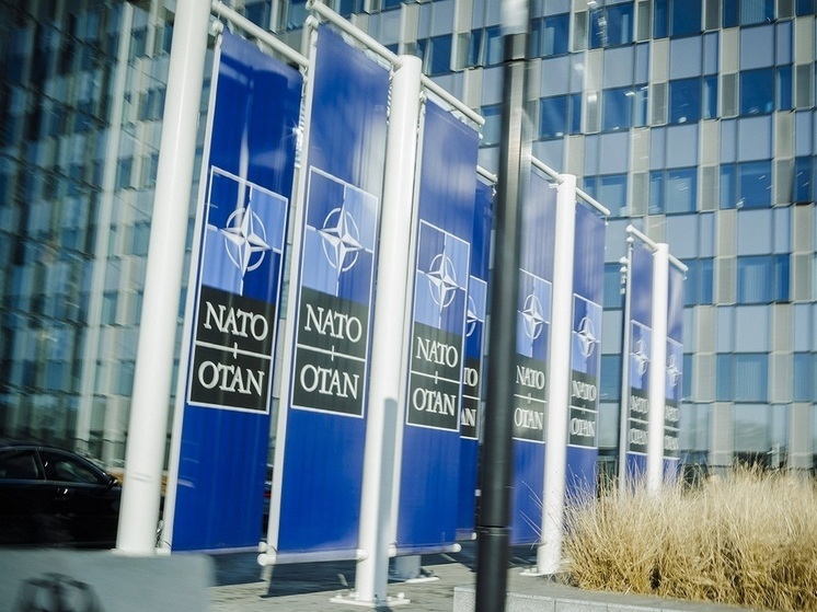 Эксперты из США и Канады назвали роспуск НАТО лучшим возможным подарком к 75-летию Альянса