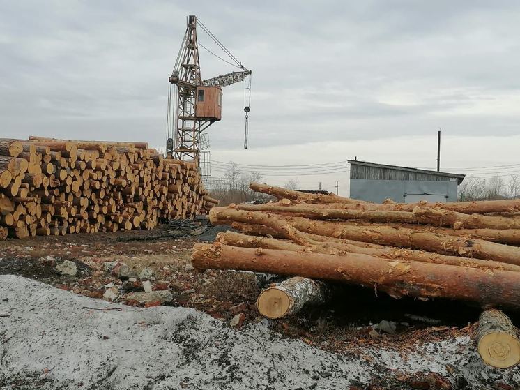 Евгений Куйвашев поручил проверить лесообрабатывающие предприятия