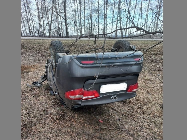 Водитель «Киа» отправил под Воронежем двух человек в больницу