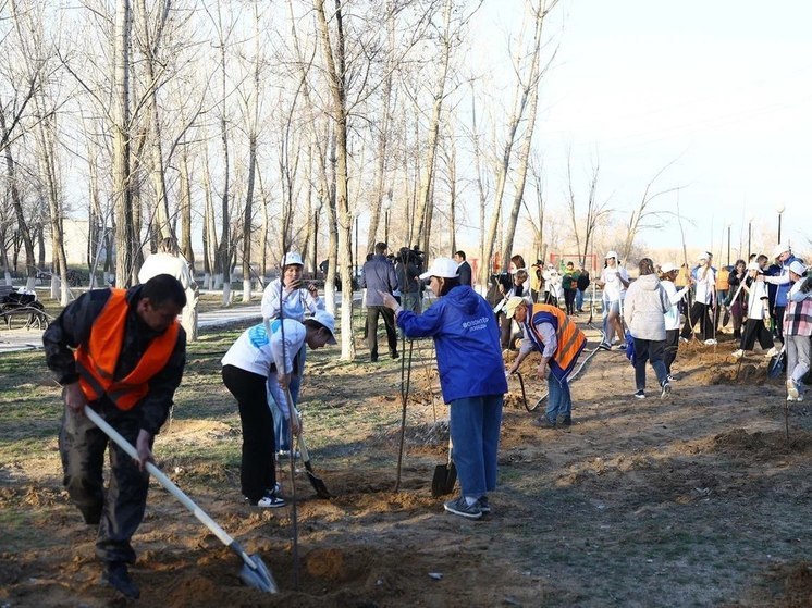 В Астраханской области высадили первые восемь тысяч деревьев