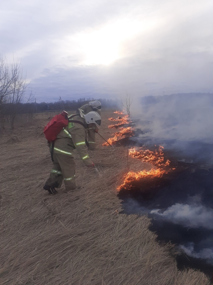 В Хомутовском районе горела трава на площади 150 м.кв