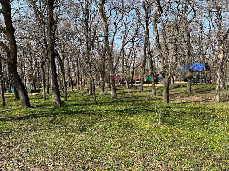 Жителей Ставрополя 6 апреля приглашают на большой городской субботник