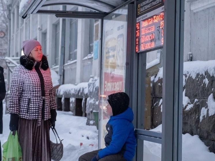 В Архангельске автобусный перевозчик заявил о срыве графиков из-за снегопада