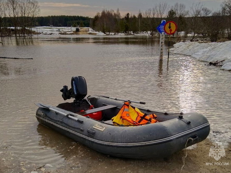 В Рязанской области подтопило мост, участок дороги и 72 приусадебных участка