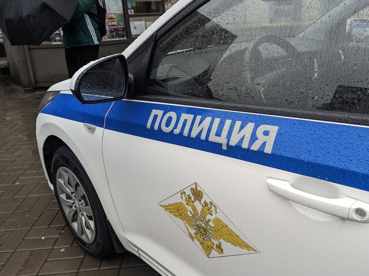 Взятки от мигрантов-нелегалов стали поводом для задержания двух полицейских Петербурга