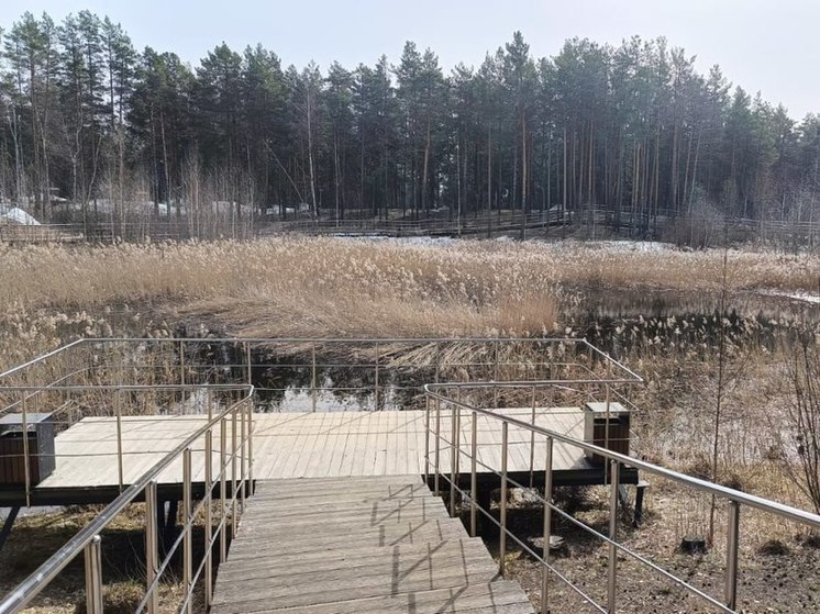 Работы по расчистке Утиного озера начинаются в Дзержинске