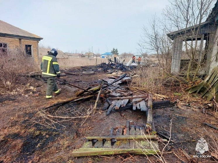 Крупный штраф грозит виновнику «огненной уборки» в Воронежской области