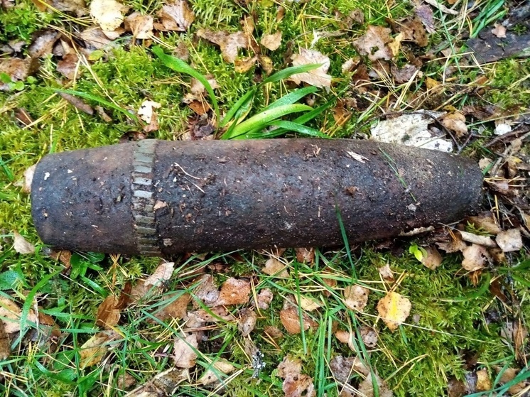 В Ярцевском районе нашли и обезвредили гаубичный снаряд