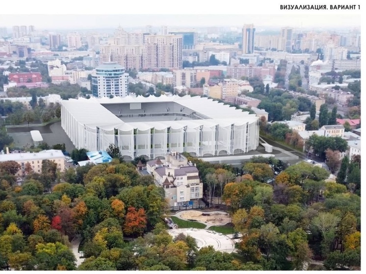 Проект реконструкции Центрального стадиона в Воронеже оценили в 585 млн рублей