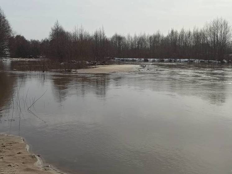 Жителей Алатырского округа предупредили о подъеме уровня воды в реках территории