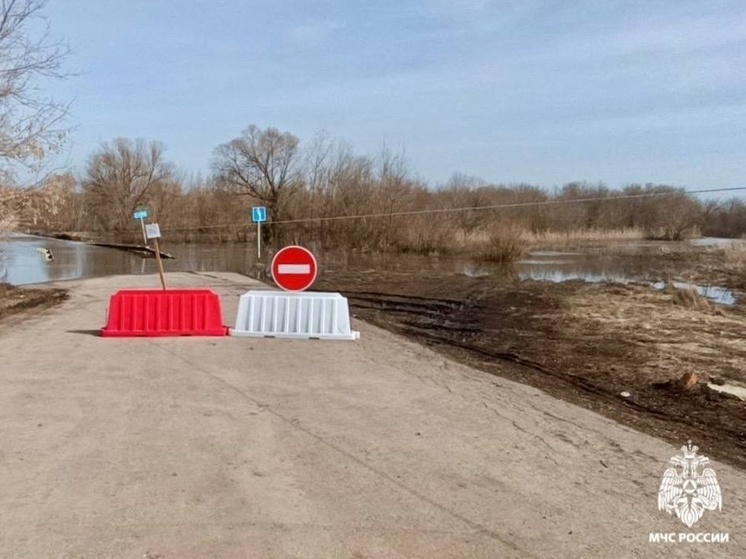 В Тамбовской области под водой оказались пять мостов