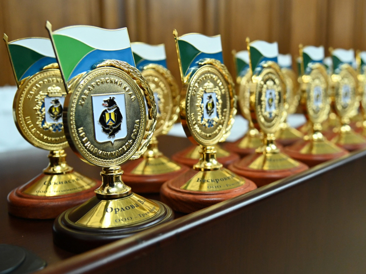 В Хабаровском крае продлен прием заявок на краевой конкурс «Предприниматель года»