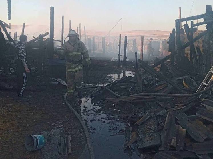 В Мухоршибирском районе Бурятии дети спалили хозяйственные постройки