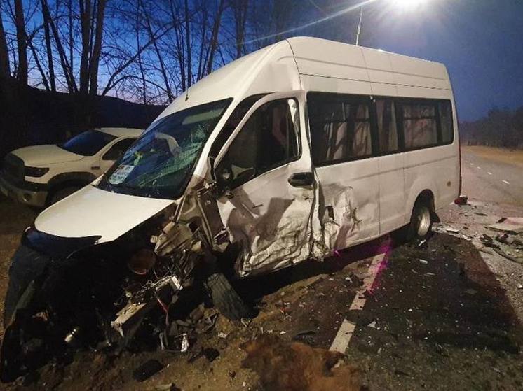 Водитель «жигулей» сбил собаку и влетел в маршрутку с пассажирами в Забайкалье