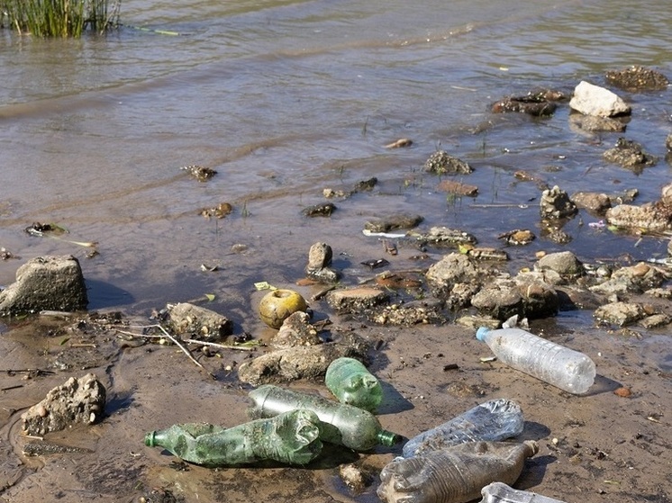 Главе Следкома России доложат о проверке загрязнения пруда в Кировской области