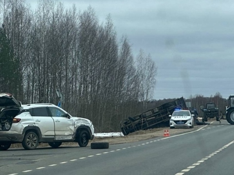 В Ярославской области в ДТП попал грузовик с коровами