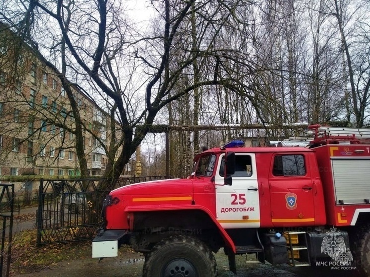 В Дорогобуже при возгорании квартиры погиб человек
