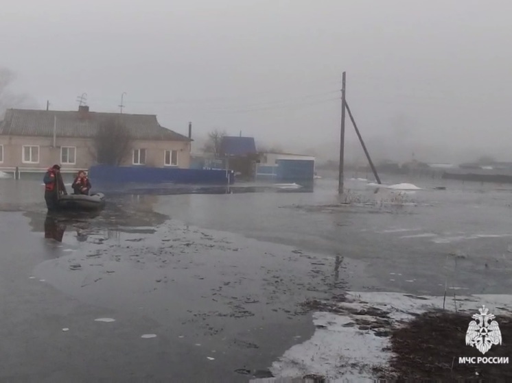 В двух муниципалитетах Челябинской области из-за паводка ввели режим ЧС