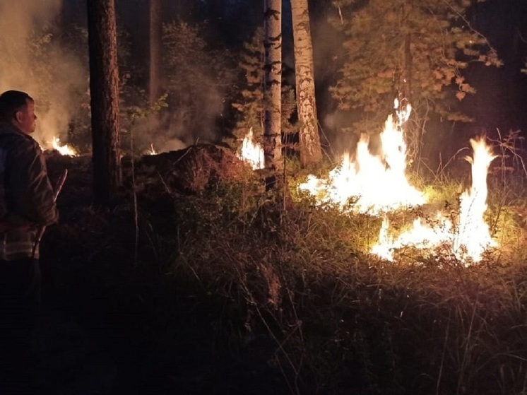 Пожароопасный сезон ввели в Свердловской области
