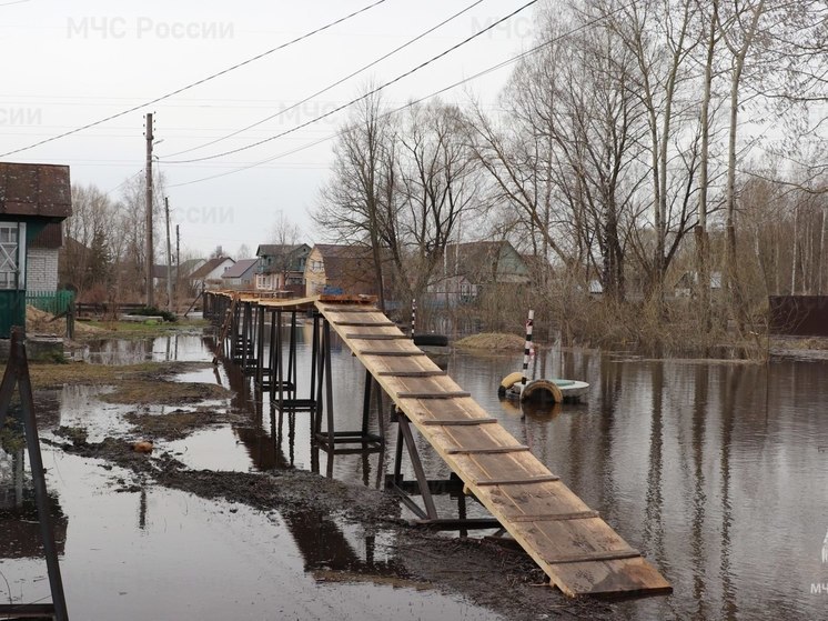 За сутки в Брянской области затопило 3 дома и 10 участков