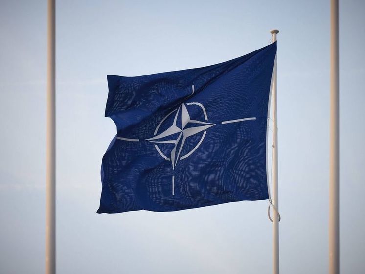 Политолог Батурин назвал провокацией миссию НАТО на Украине