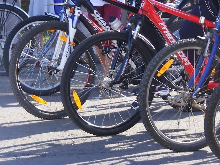 Открытие велосезона в Вологде состоится 21 апреля