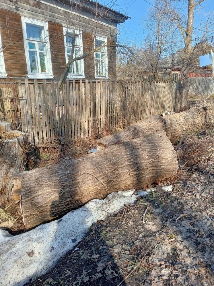 В Тверской области от жилого дома год не могут убрать спиленные деревья