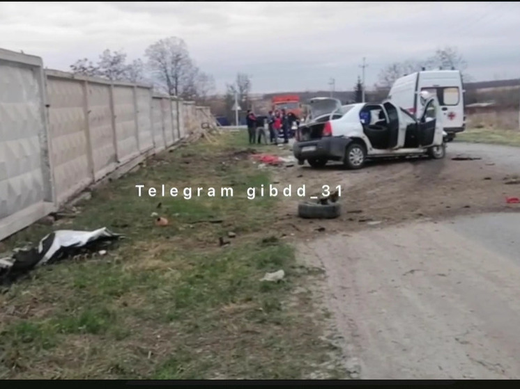 В Белгородской области иномарка врезалась в бетонный забор, водитель погиб