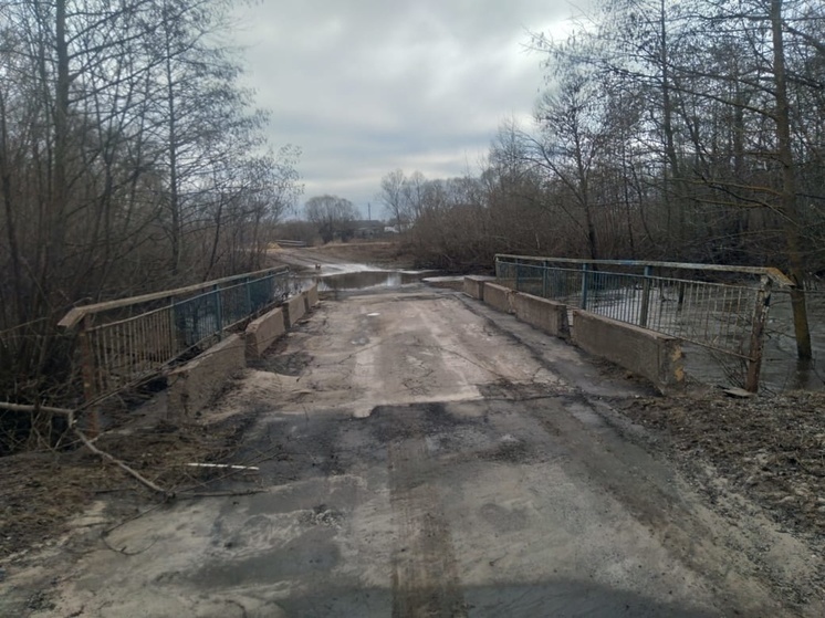 В Рязанской области освободились от воды 2 моста, дорога и приусадебные участки