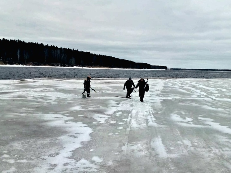 Трех рыбаков на дрейфующей льдине спасли череповецкие спасатели