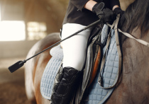 Девушка жестоко обошлась с лошадью на соревнованиях в Ярославле