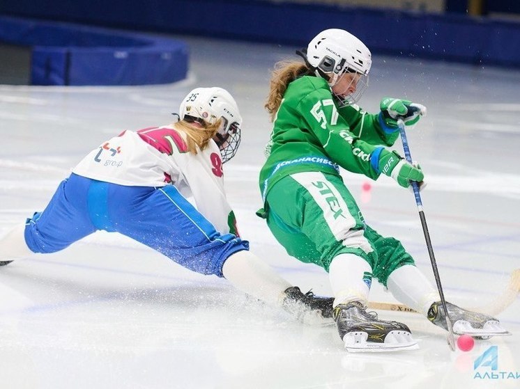Иркутская «Сибскана» завоевала звание чемпиона России по хоккею с мячом среди женских команд