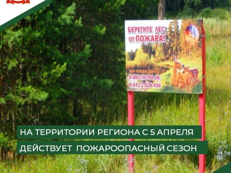 В Пензенской области начал действовать пожароопасный сезон