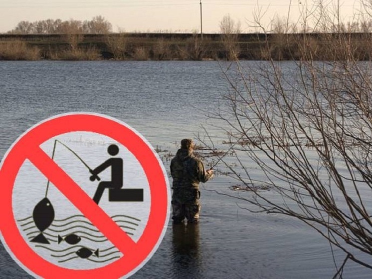 Не ловите, рыбаки, не ловите: в Костроме вводится нерестовый запрет на лов рыбы