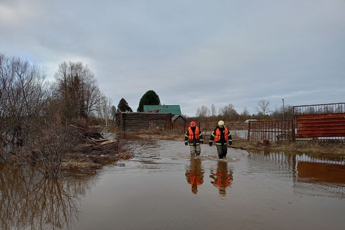 В Костромской области прогнозируют интенсивный подъем воды в реках