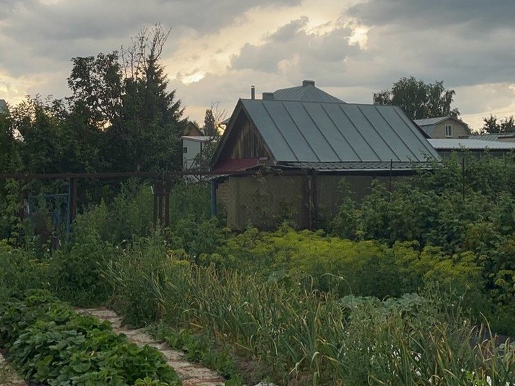 Пензенским дачникам рассказали, за что они могут получить штрафы