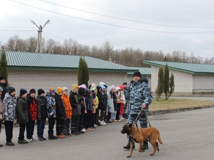 Новгородские кинологи продемонстрировали школьникам навыки служебных собак