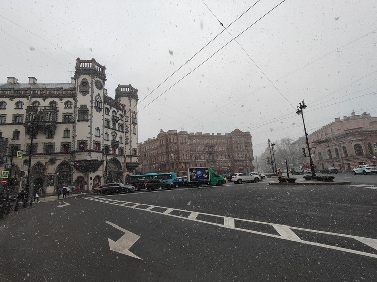 Петербург в ожидании мокрого снега: циклон идет на город со стороны Эстонии