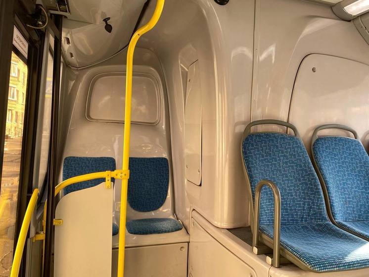 Ситуацию с нехваткой автобусов №112 в Петербурге взяли на контроль
