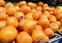 За март в Петербург прибыло 53,5 тысячи тонн свежих фруктов из десяти уголков мира, сообщили в пресс-службе Северо-Западного межрегионального управления Россельхознадзора.