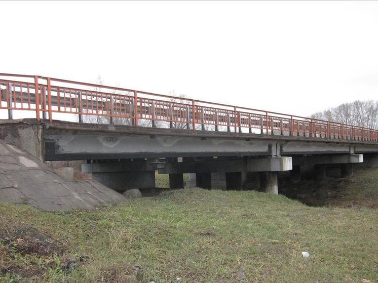 Два моста через реку Верх-Тула отремонтируют под Новосибирском